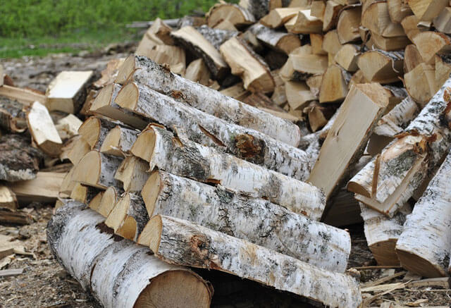 Какова температура горения дров в печи? Порода древесины, какие дрова лучше выбрать