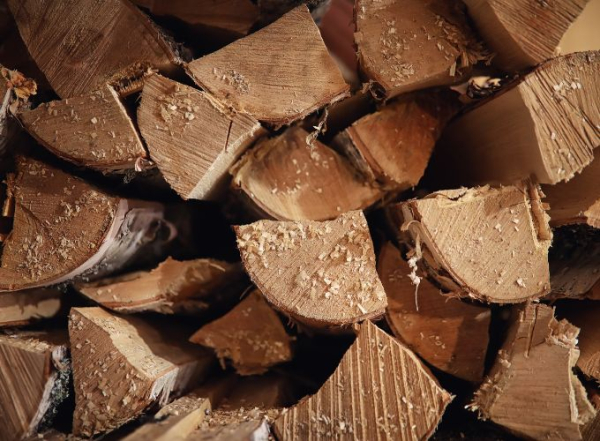 Welches Brennholz eignet sich am besten für den Kamin?